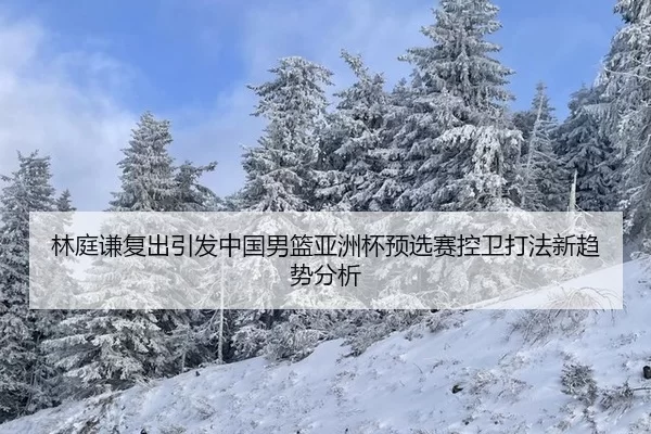 林庭谦复出引发中国男篮亚洲杯预选赛控卫打法新趋势分析